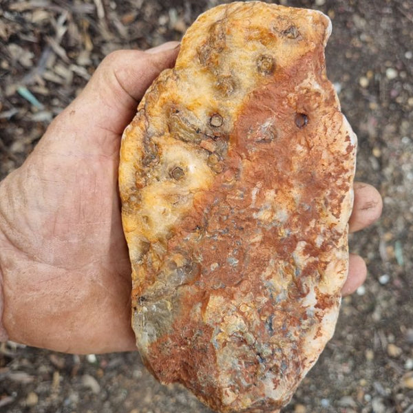 Polished Kumarina Agate KA133