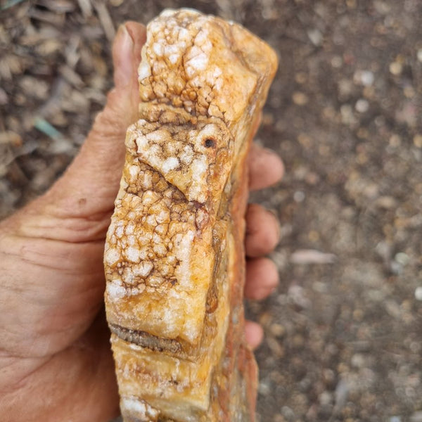 Polished Kumarina Agate KA133