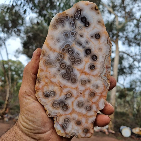 Polished Kumarina Agate KA133