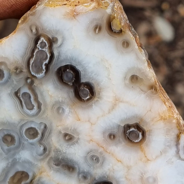 Polished Kumarina Agate KA133