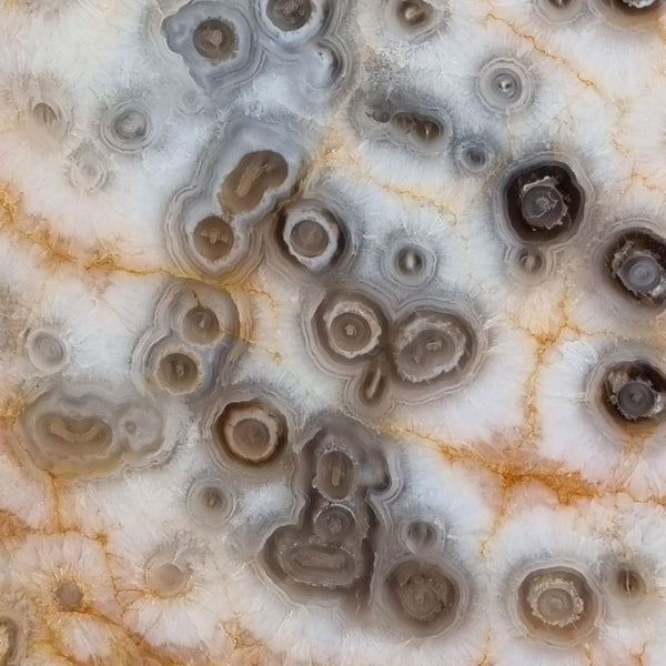 Polished Kumarina Agate KA133