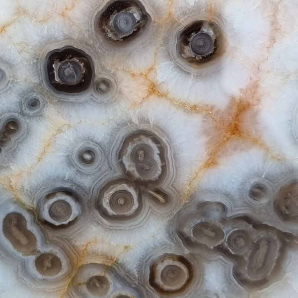 Polished Kumarina Agate KA133