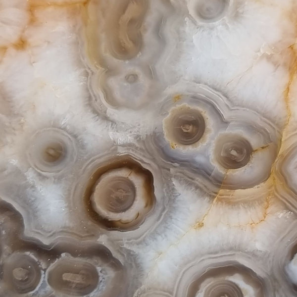 Polished Kumarina Agate KA133