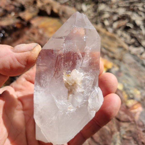 West Australian Quartz crystal . XL101