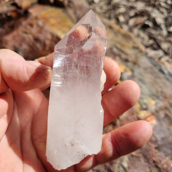West Australian Quartz crystal . XL101