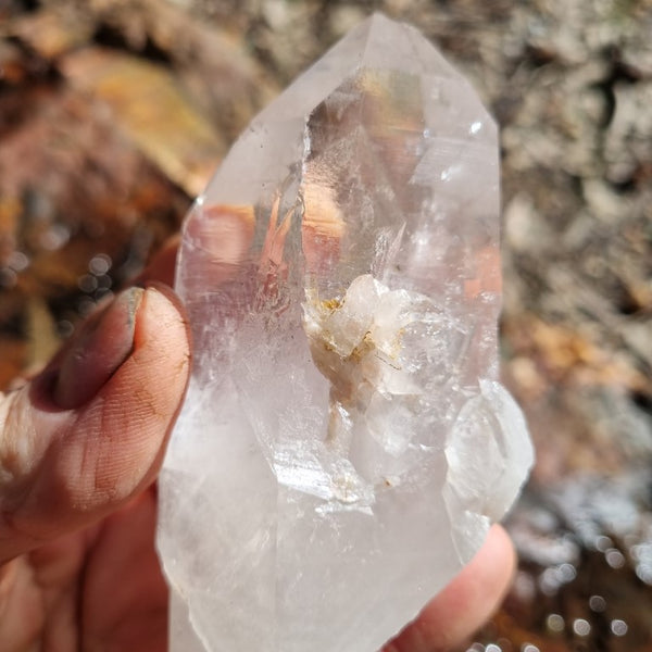 West Australian Quartz crystal . XL101