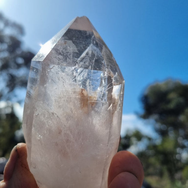 West Australian Quartz crystal . XL101