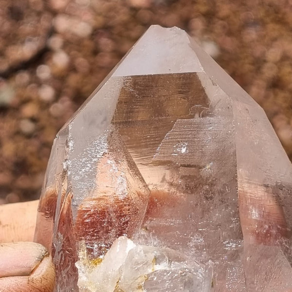 West Australian Quartz crystal . XL101