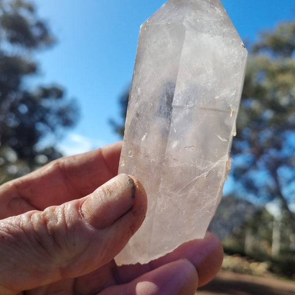 West Australian Quartz crystal . XL102