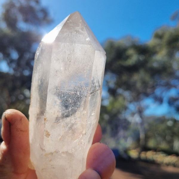 West Australian Quartz crystal . XL102