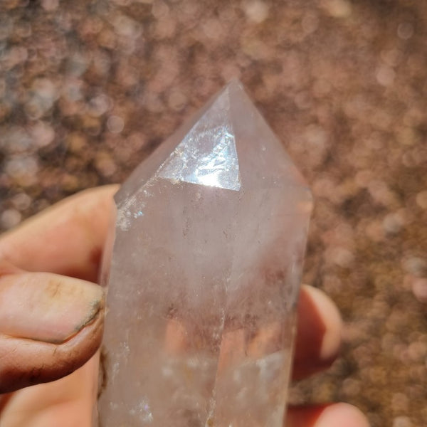West Australian Quartz crystal . XL102