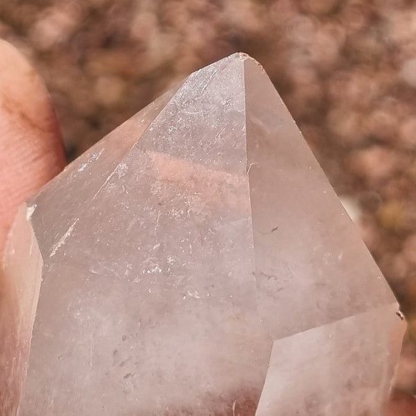 West Australian Quartz crystal . XL102