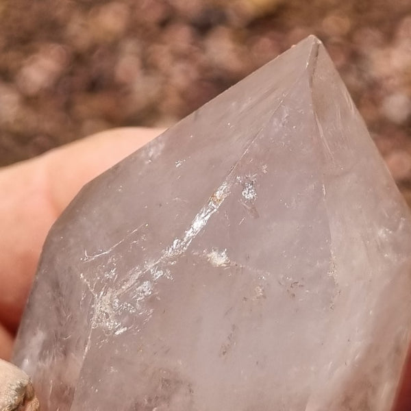 West Australian Quartz crystal . XL102