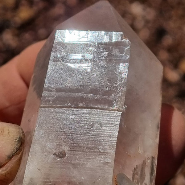 West Australian Quartz crystal . XL102