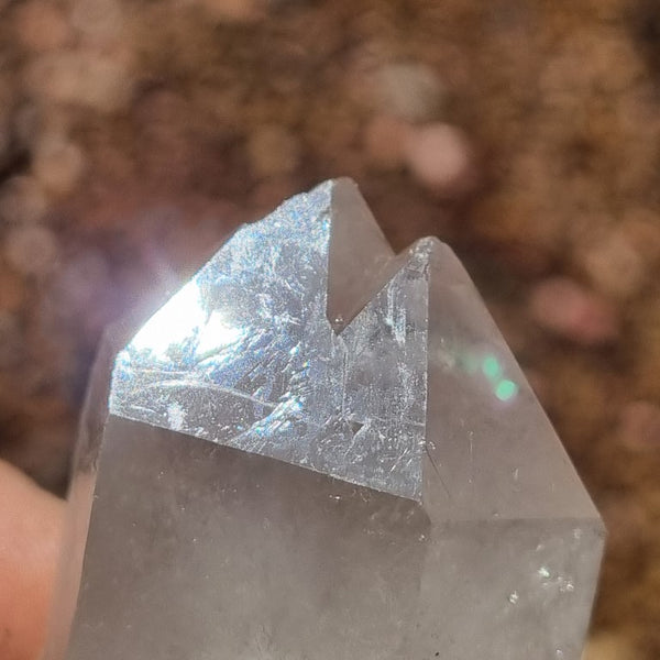 West Australian Quartz crystal . XL103