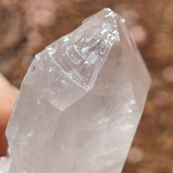 West Australian Quartz crystal . XL103
