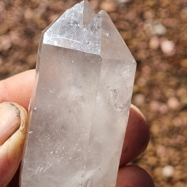 West Australian Quartz crystal . XL103