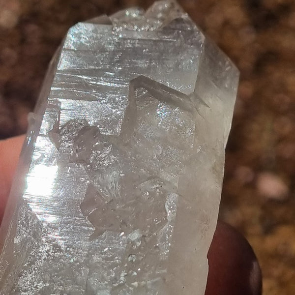 West Australian Quartz crystal . XL103