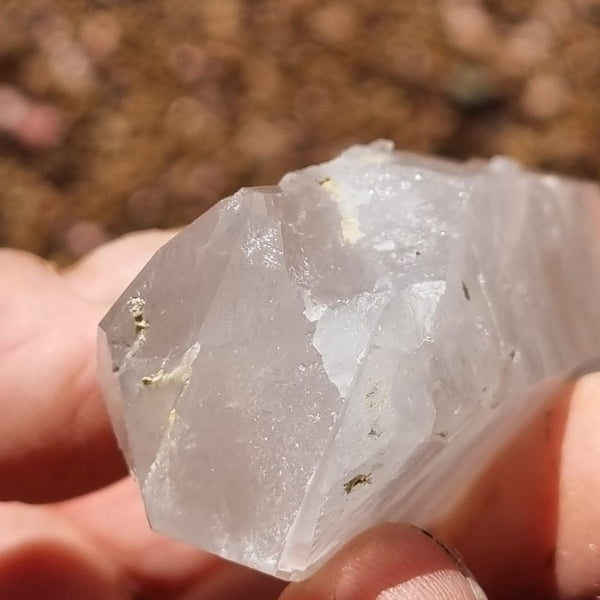 West Australian Quartz crystal . XL103
