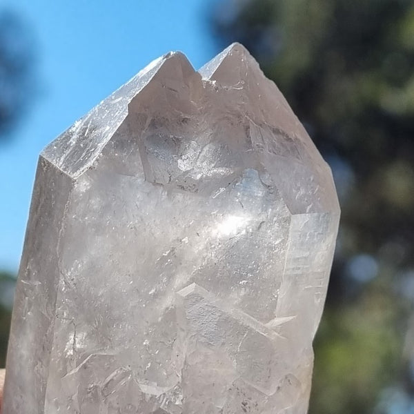 West Australian Quartz crystal . XL103