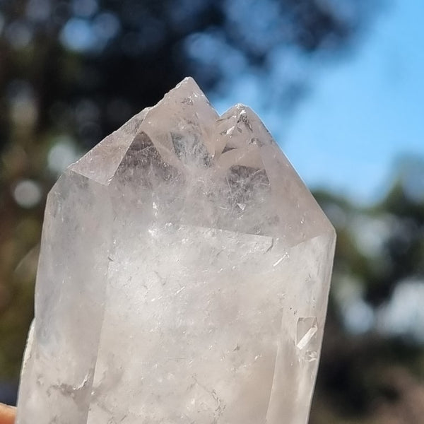 West Australian Quartz crystal . XL103