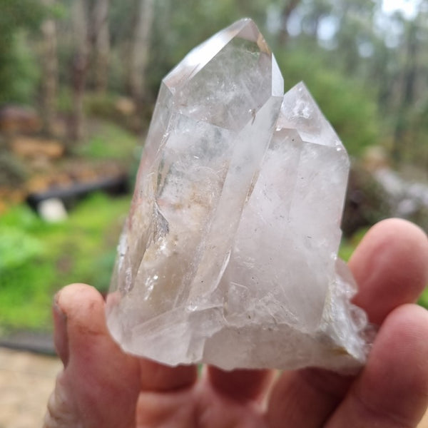 West Australian Quartz crystal . XL106