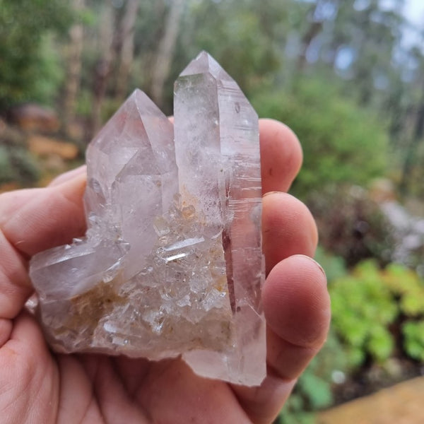 West Australian Quartz crystal . XL106