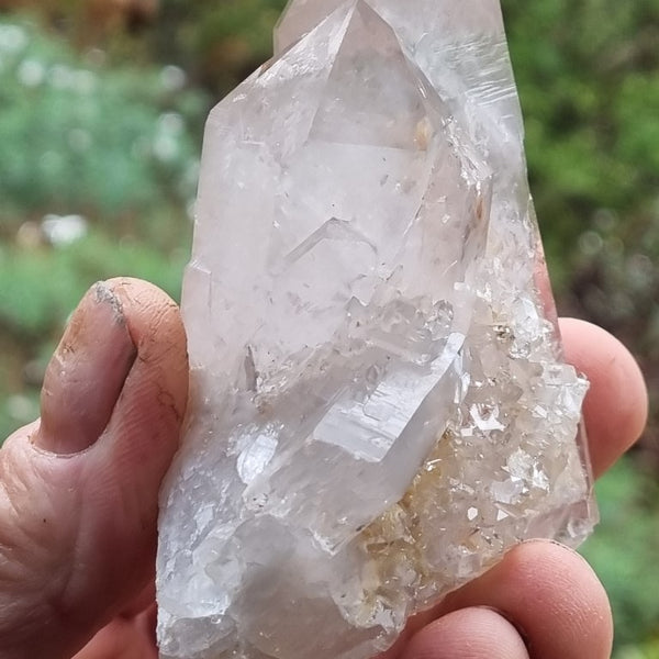 West Australian Quartz crystal . XL106