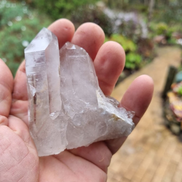 West Australian Quartz crystal . XL106