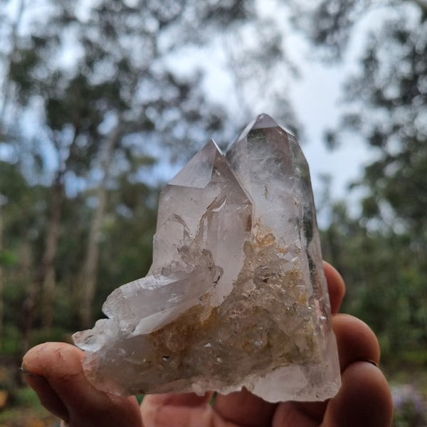 West Australian Quartz crystal . XL106