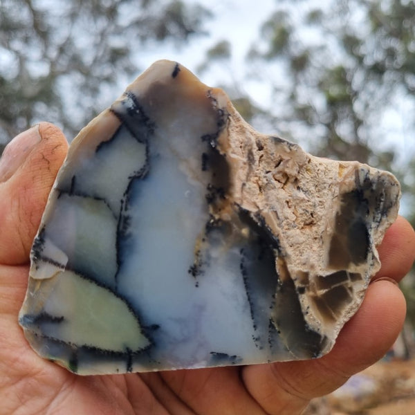 Chalcedony  PC119