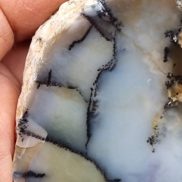 Chalcedony  PC119