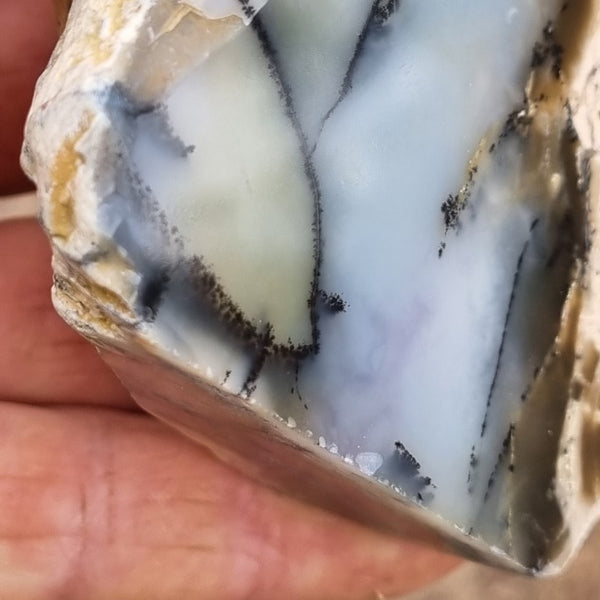 Chalcedony  PC119