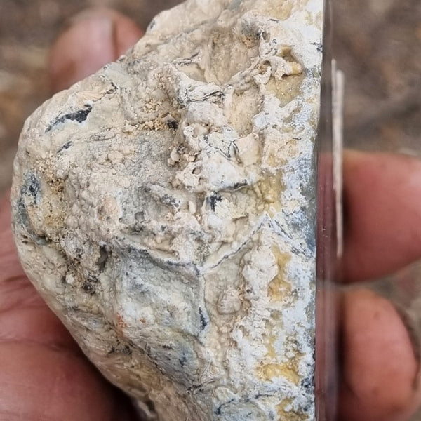 Chalcedony  PC119