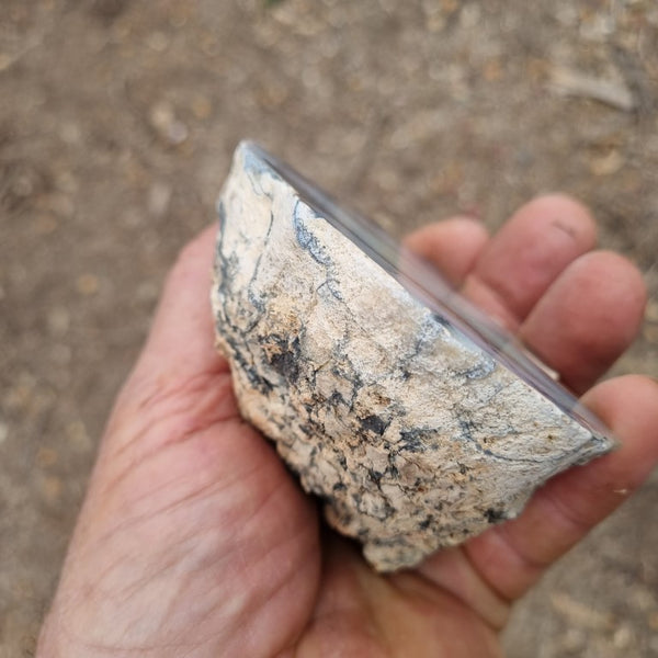 Chalcedony  PC118