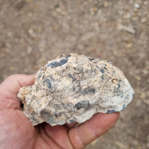 Chalcedony  PC118