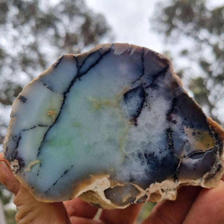 Chalcedony  PC118