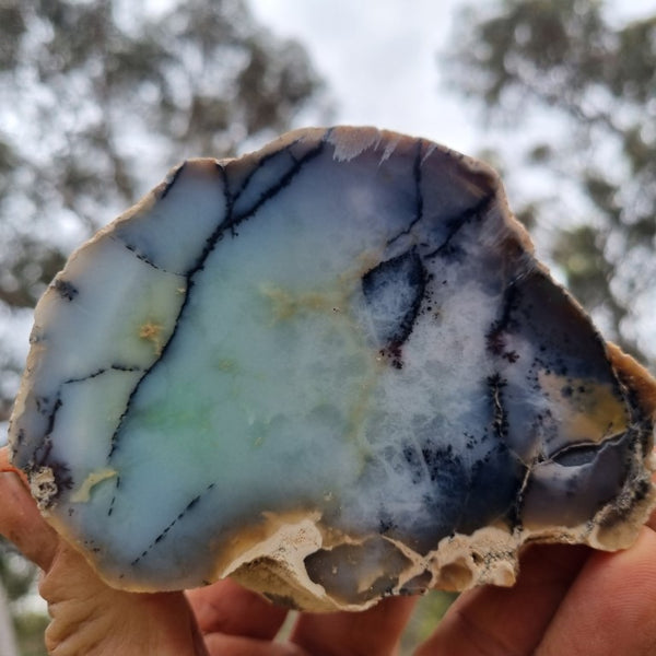 Chalcedony  PC118