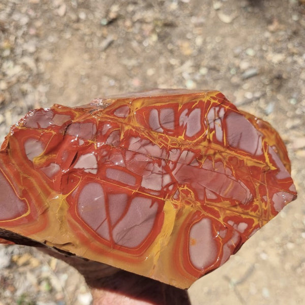Noreena Jasper rough NJR167