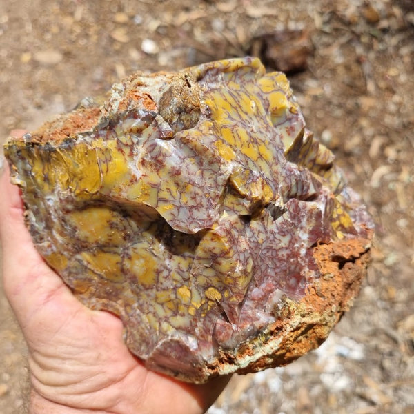 Dendritic Opal  rough.  DOR 189