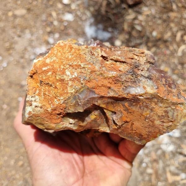 Dendritic Opal  rough.  DOR 189