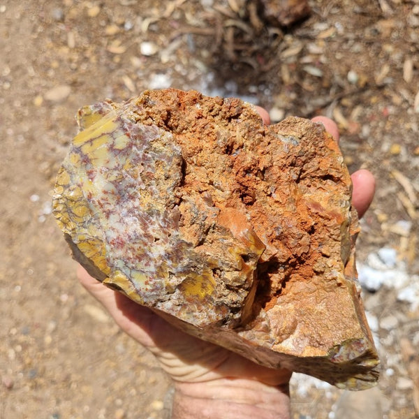 Dendritic Opal  rough.  DOR 189