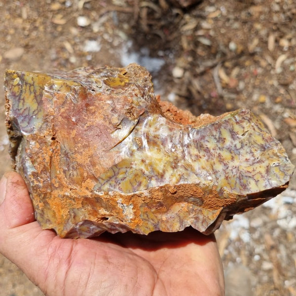 Dendritic Opal  rough.  DOR 189