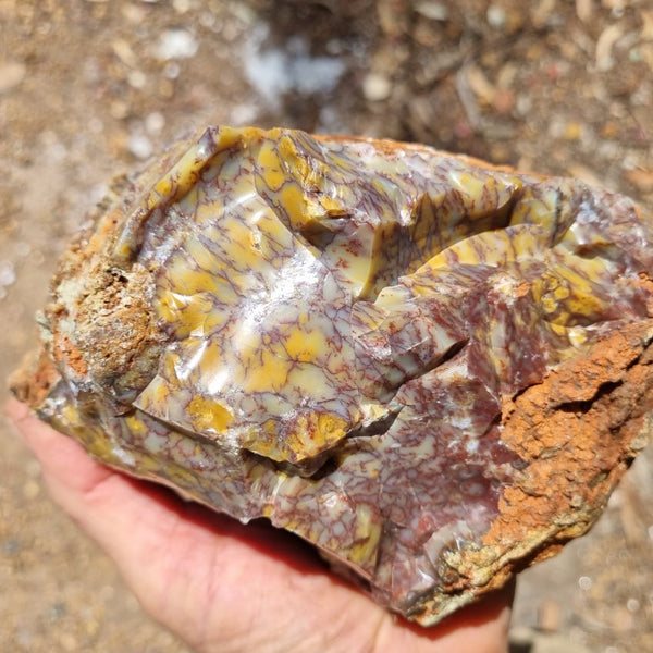 Dendritic Opal  rough.  DOR 189