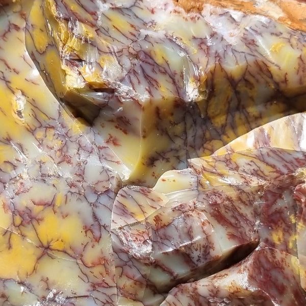 Dendritic Opal  rough.  DOR 189