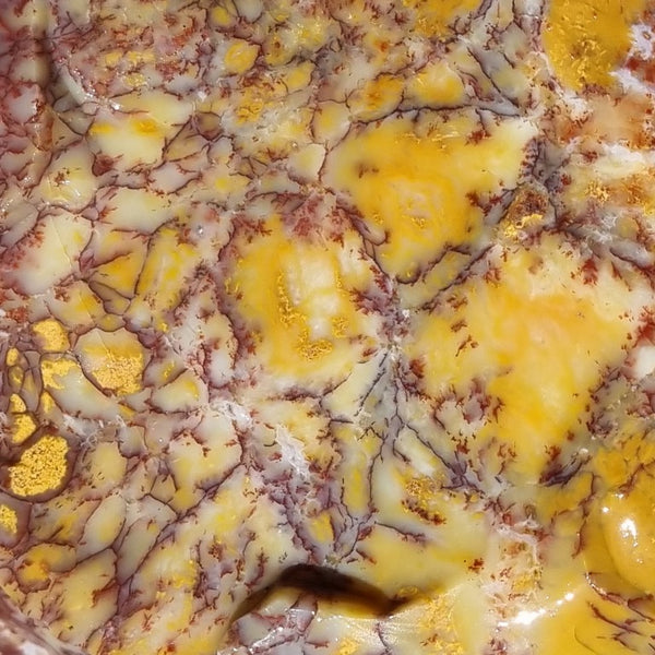 Dendritic Opal  rough.  DOR 189