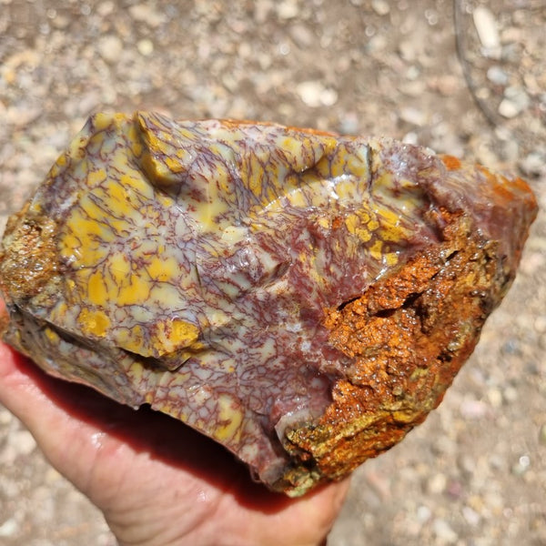 Dendritic Opal  rough.  DOR 189