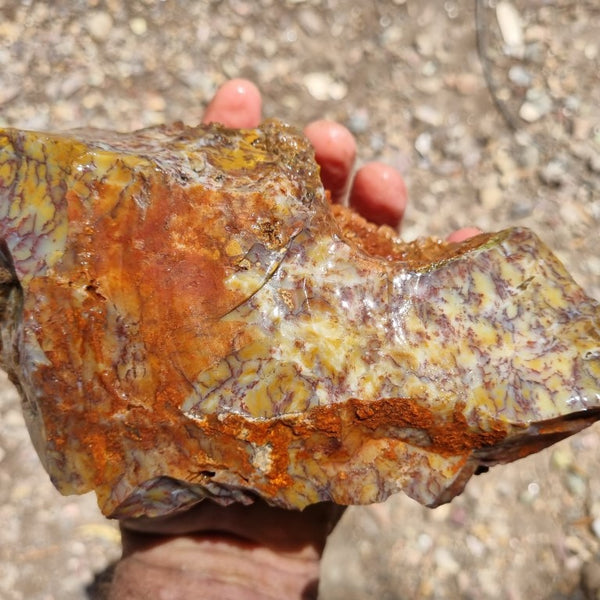 Dendritic Opal  rough.  DOR 189