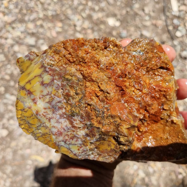 Dendritic Opal  rough.  DOR 189