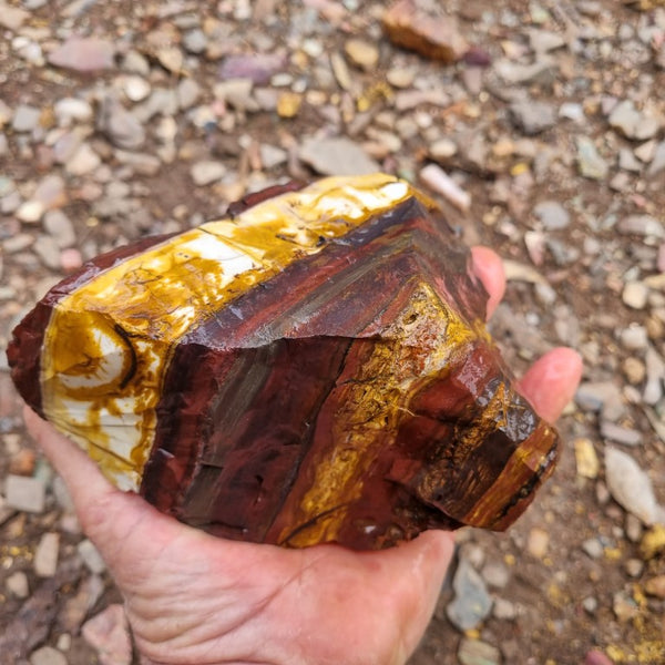 Desert Sunset rough.  DSR 118